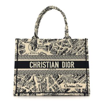 CHRISTIAN DIOR Canvas Embroidered Medium Plan De Paris 